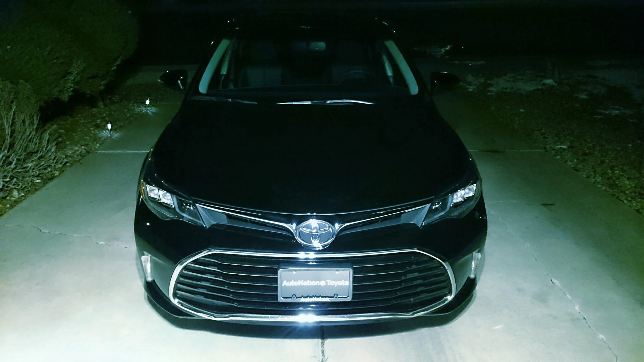 avalon.webp