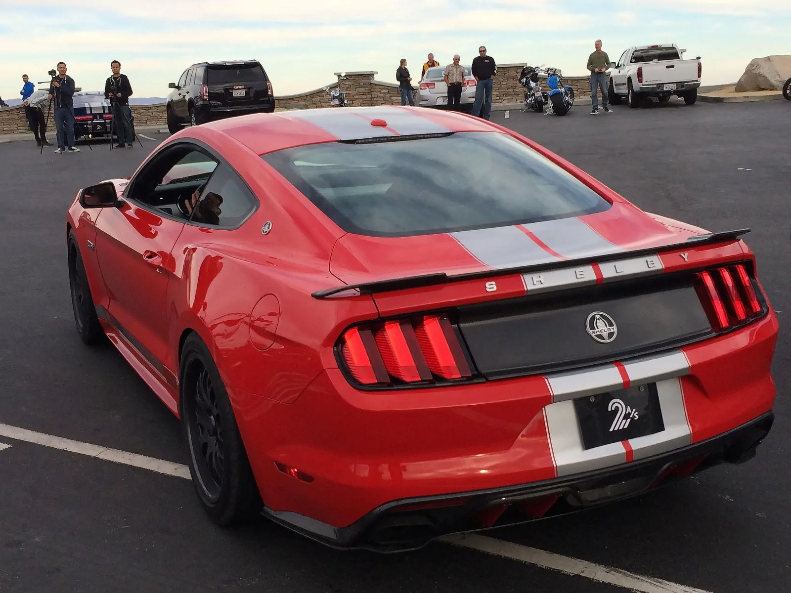 shelby2.webp