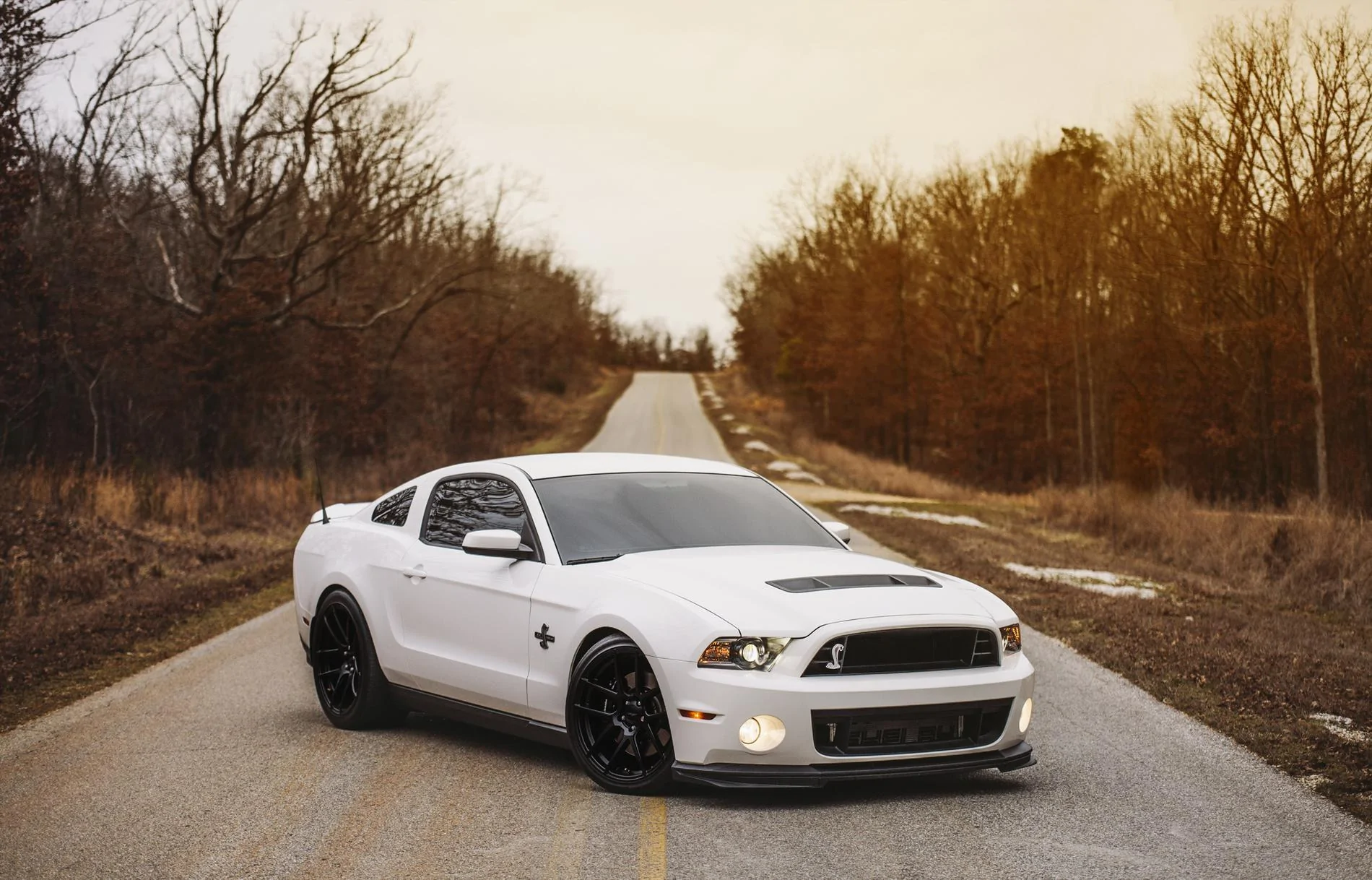 20sf8zk.webp