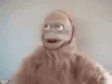 tenor.gif