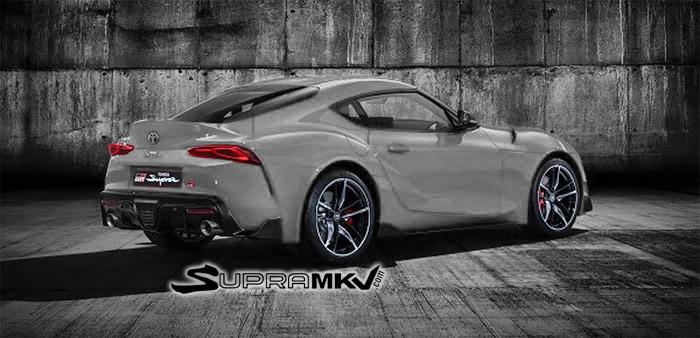 mkv_nardogrey_back.jpg
