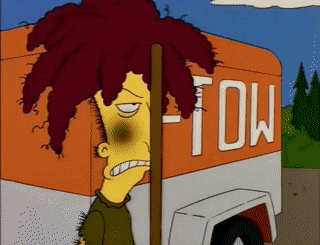 SnarlingElectricFairyfly-max-1mb.gif