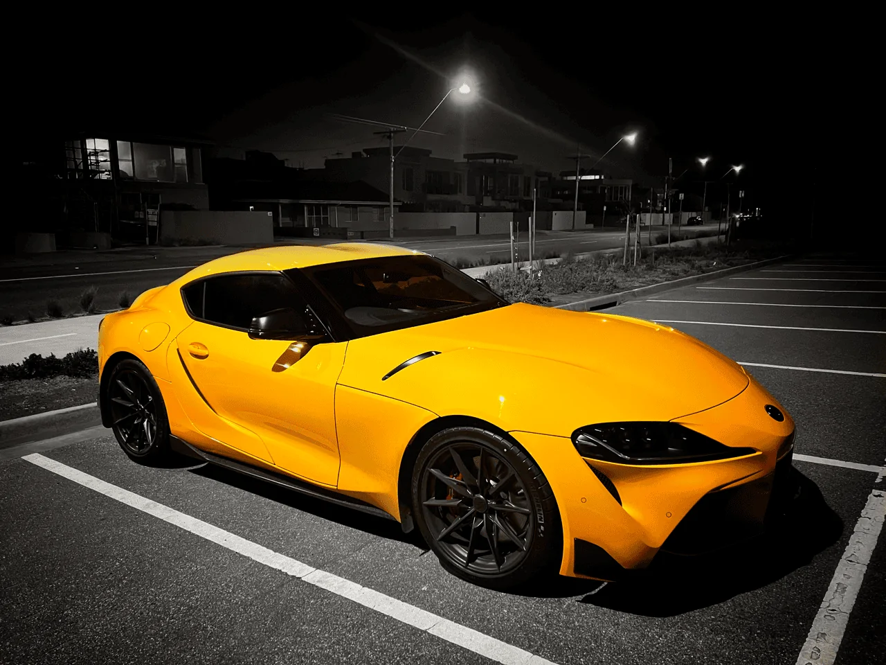 IMG_1886 Large.png