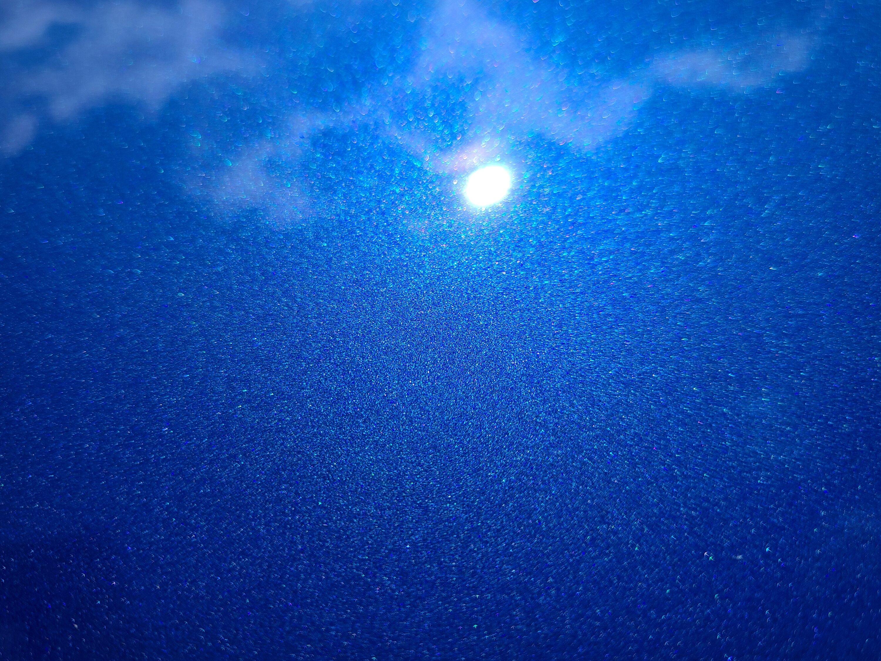 20230803_134324.jpg