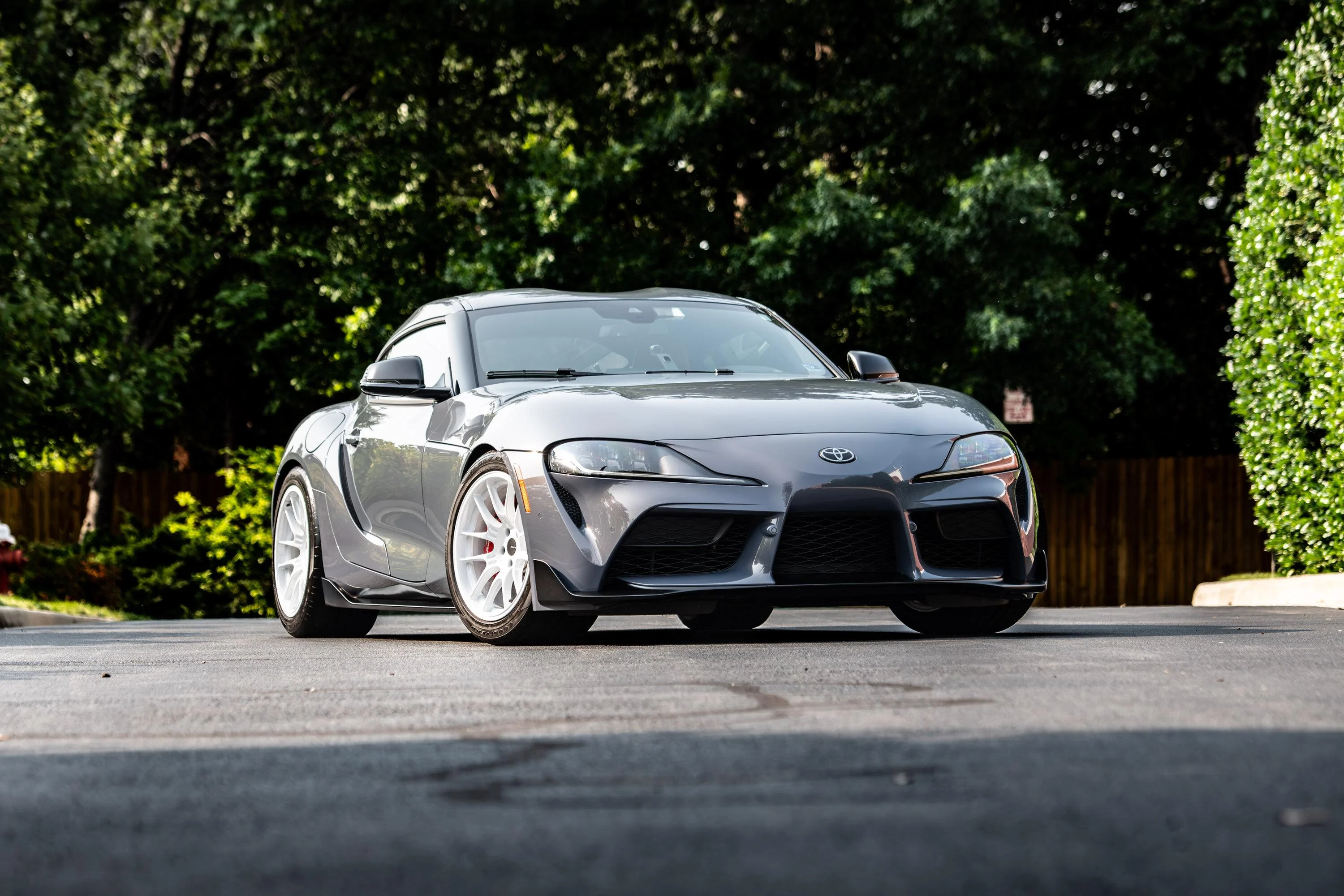 supra (2).jpg