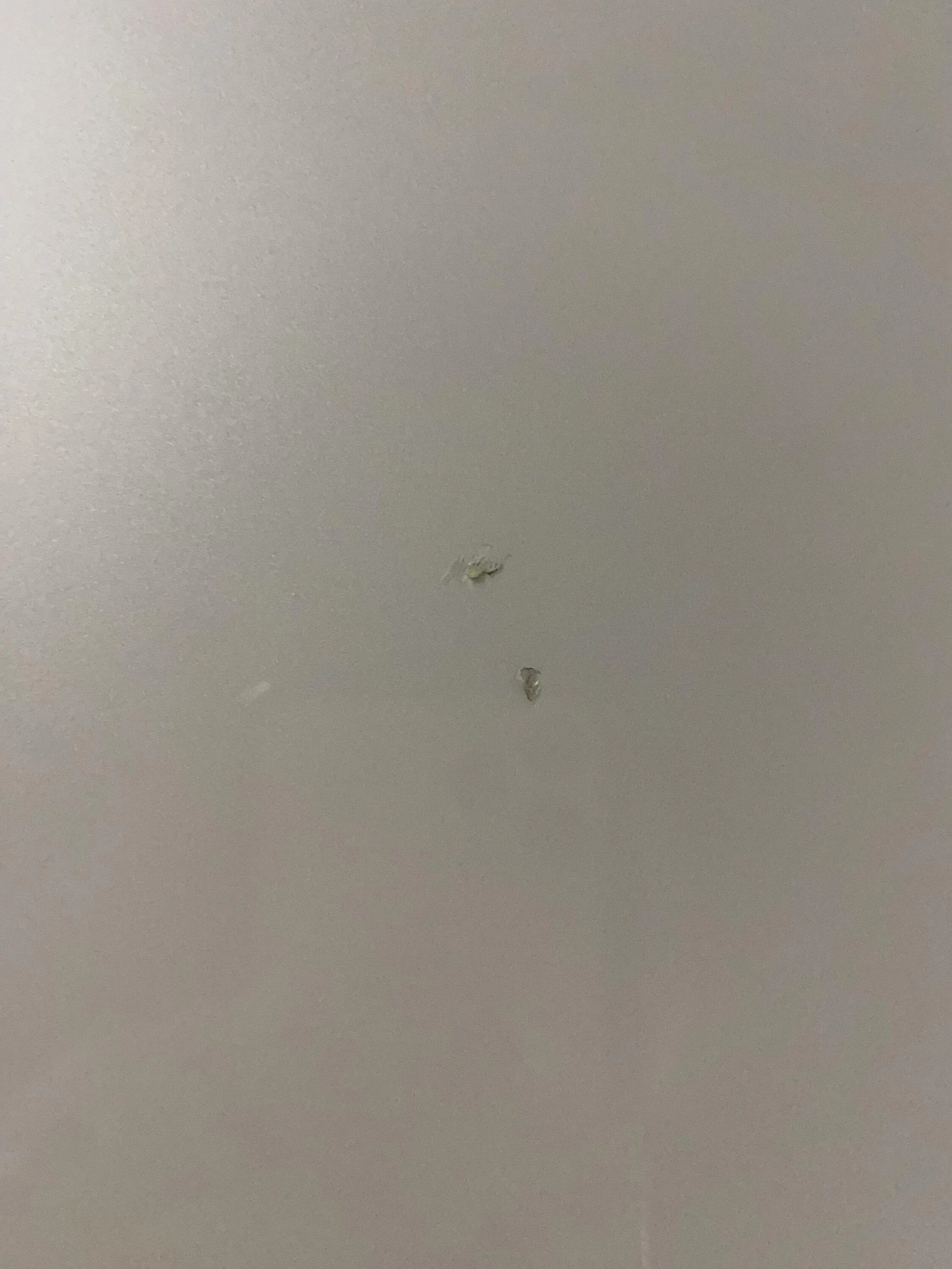 IMG_6731.jpeg