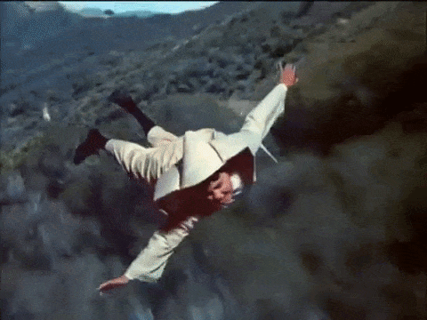 IMG_2131.gif