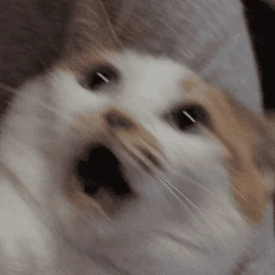 1692740328284.png