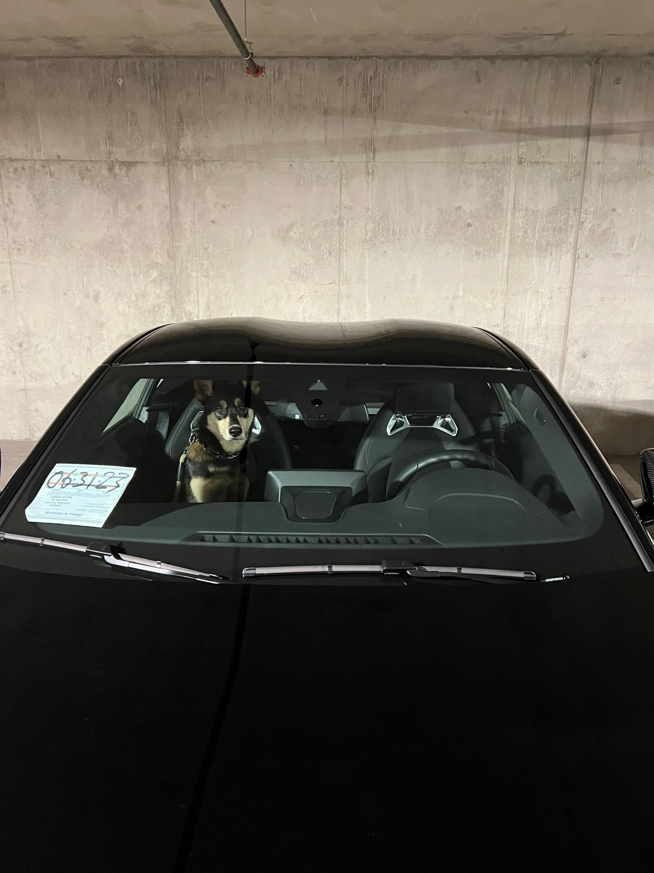IMG_2032.jpeg