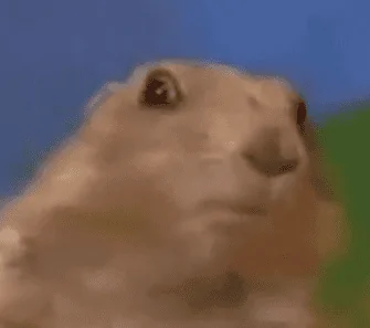 1699415229969.png
