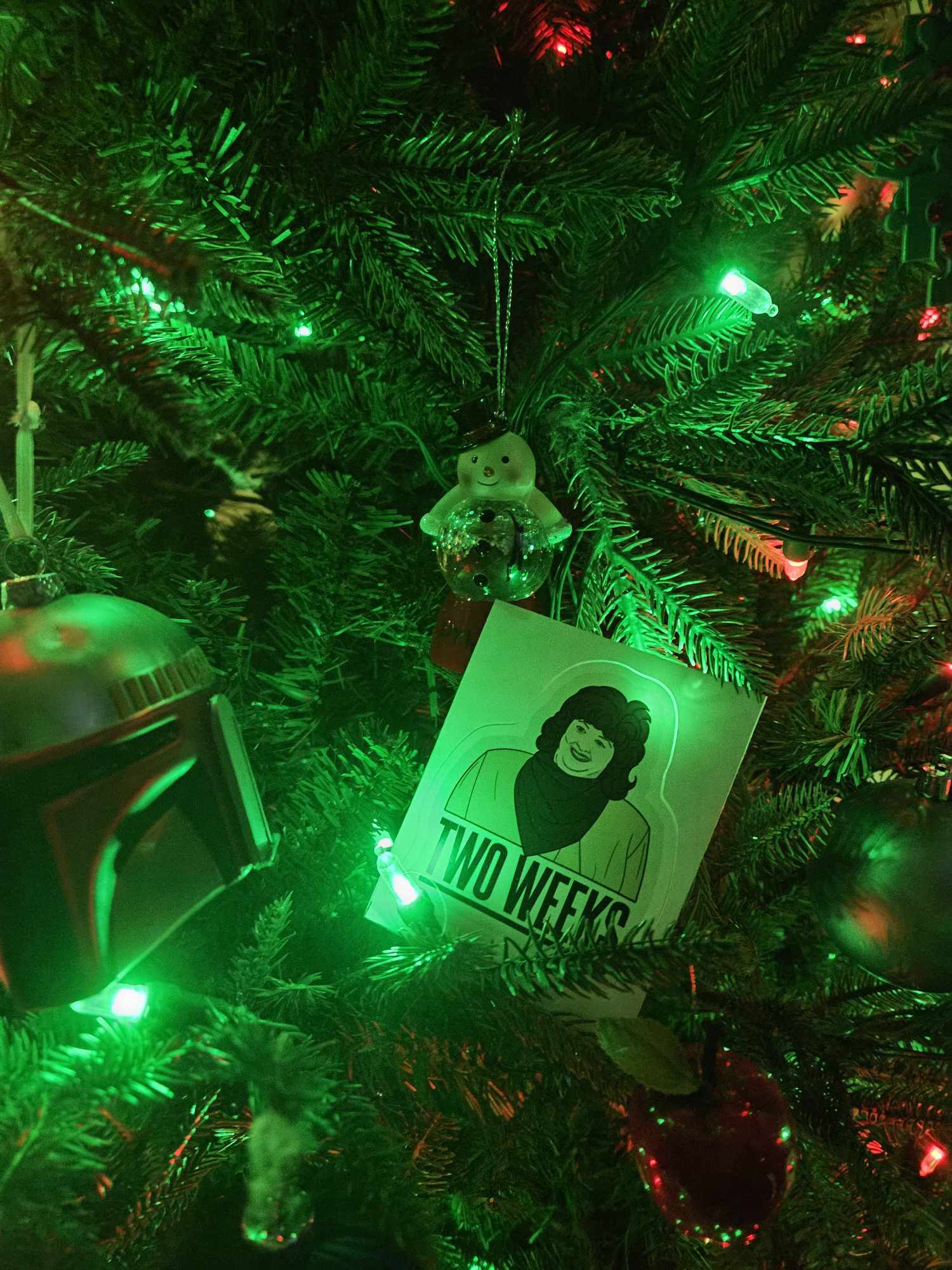 in the tree.jpg