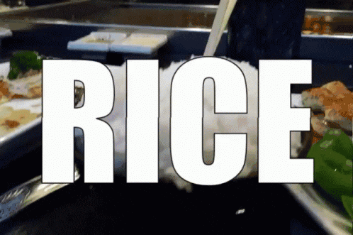 gaberegal-rice.gif