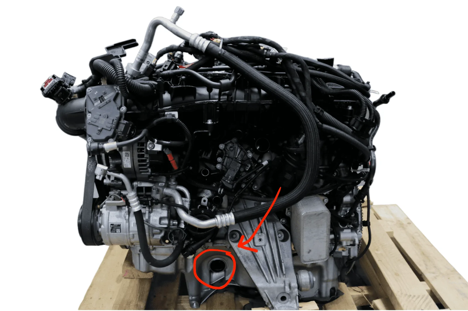 s-l1600.webp