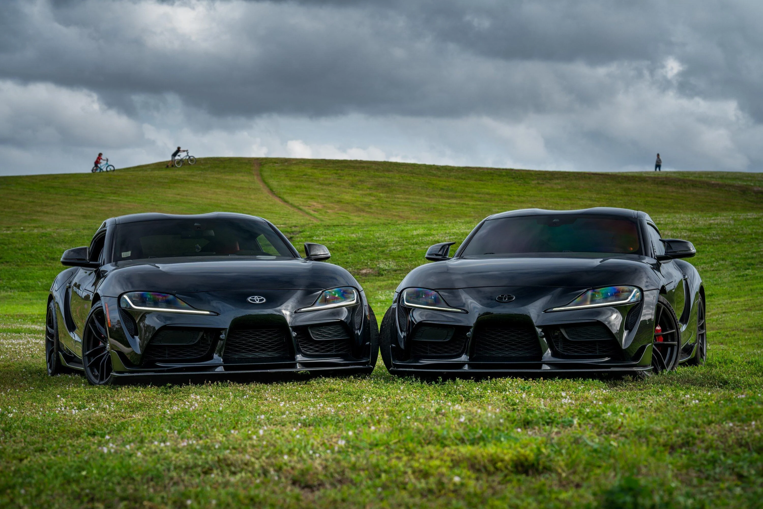 twin.webp
