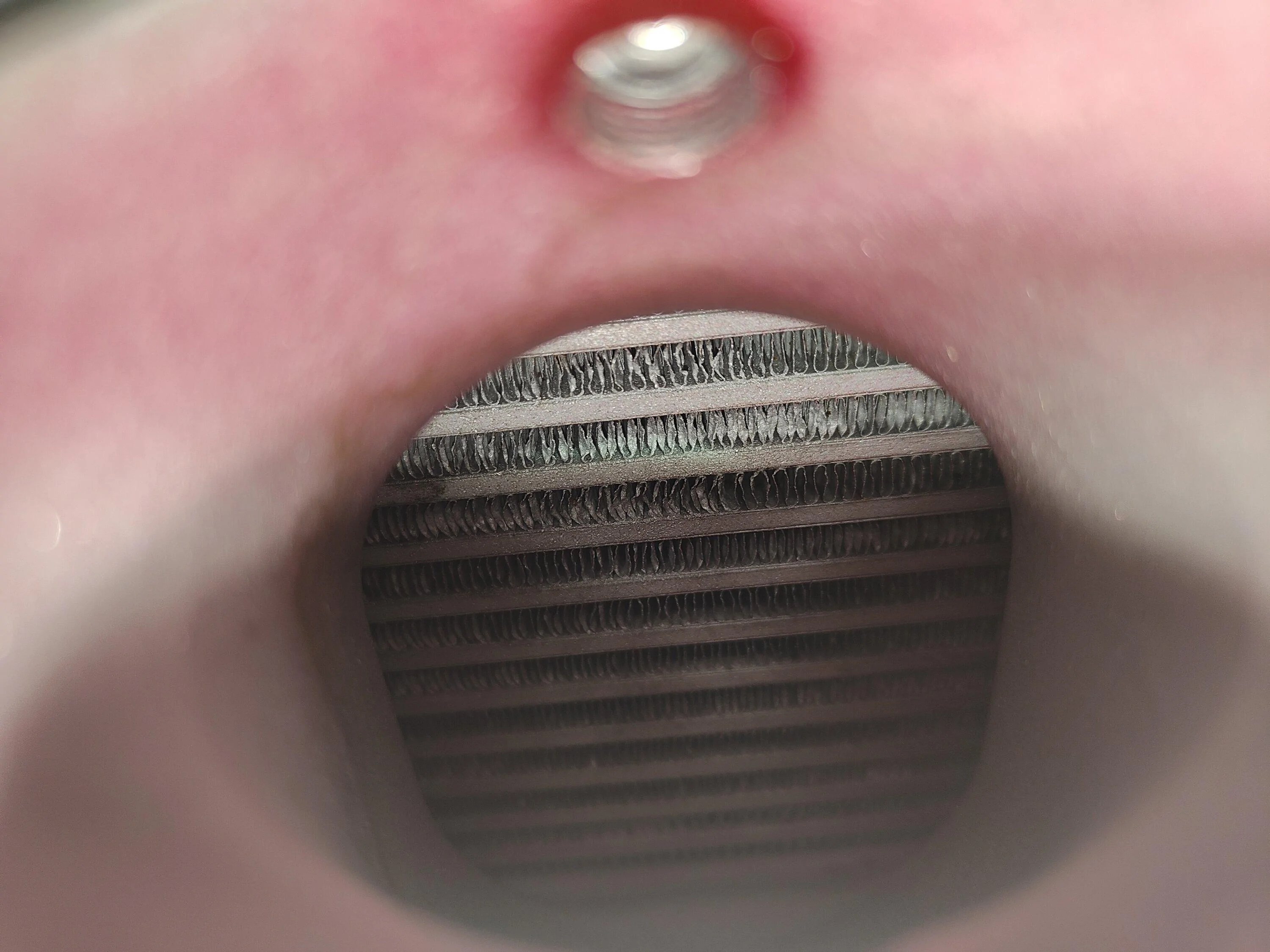 IMG20240117180513.jpg