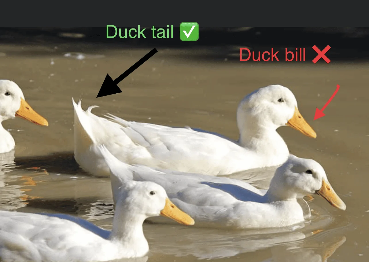 1707150487229.png