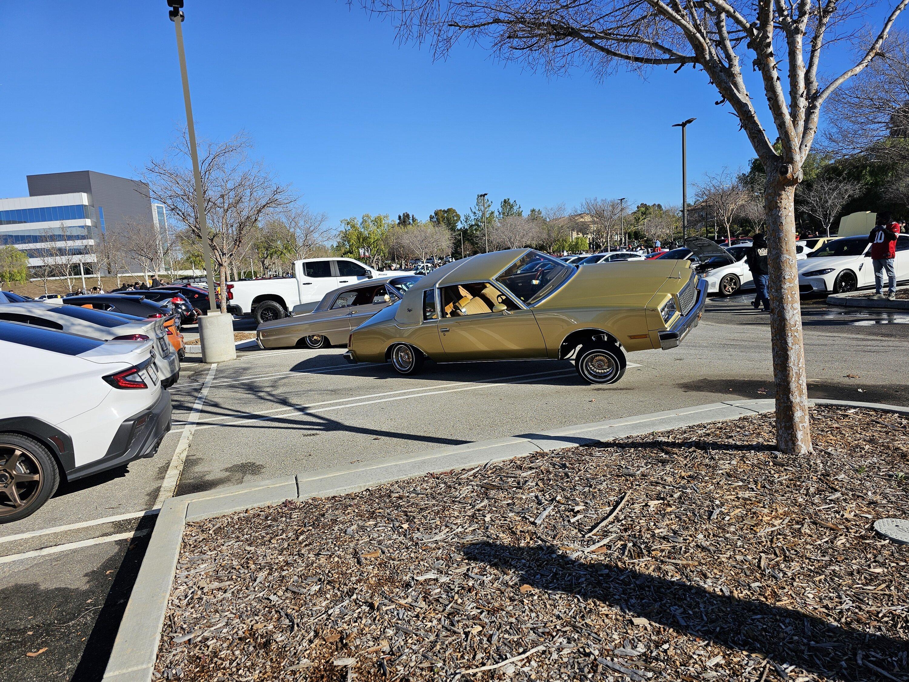 20240211_090313.jpg