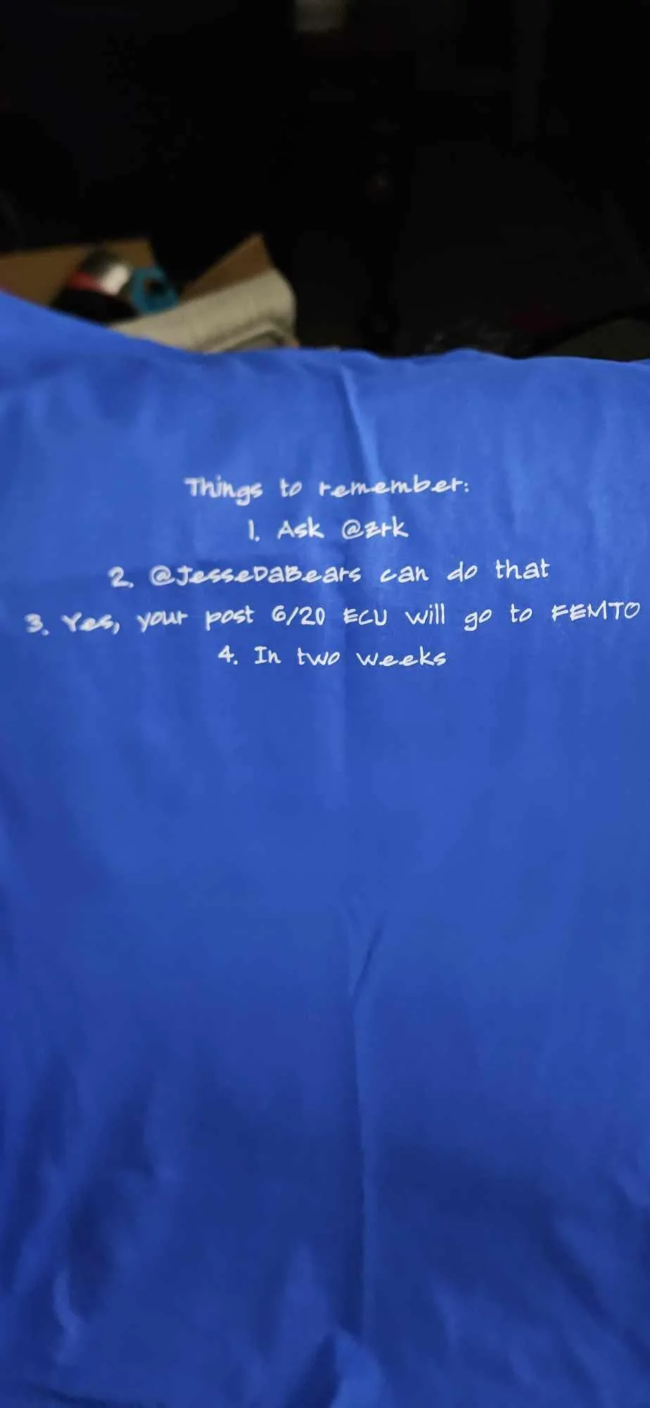 shirt back.webp