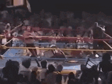 IMG_2438.gif