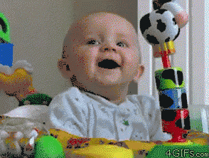 IMG_2442.gif
