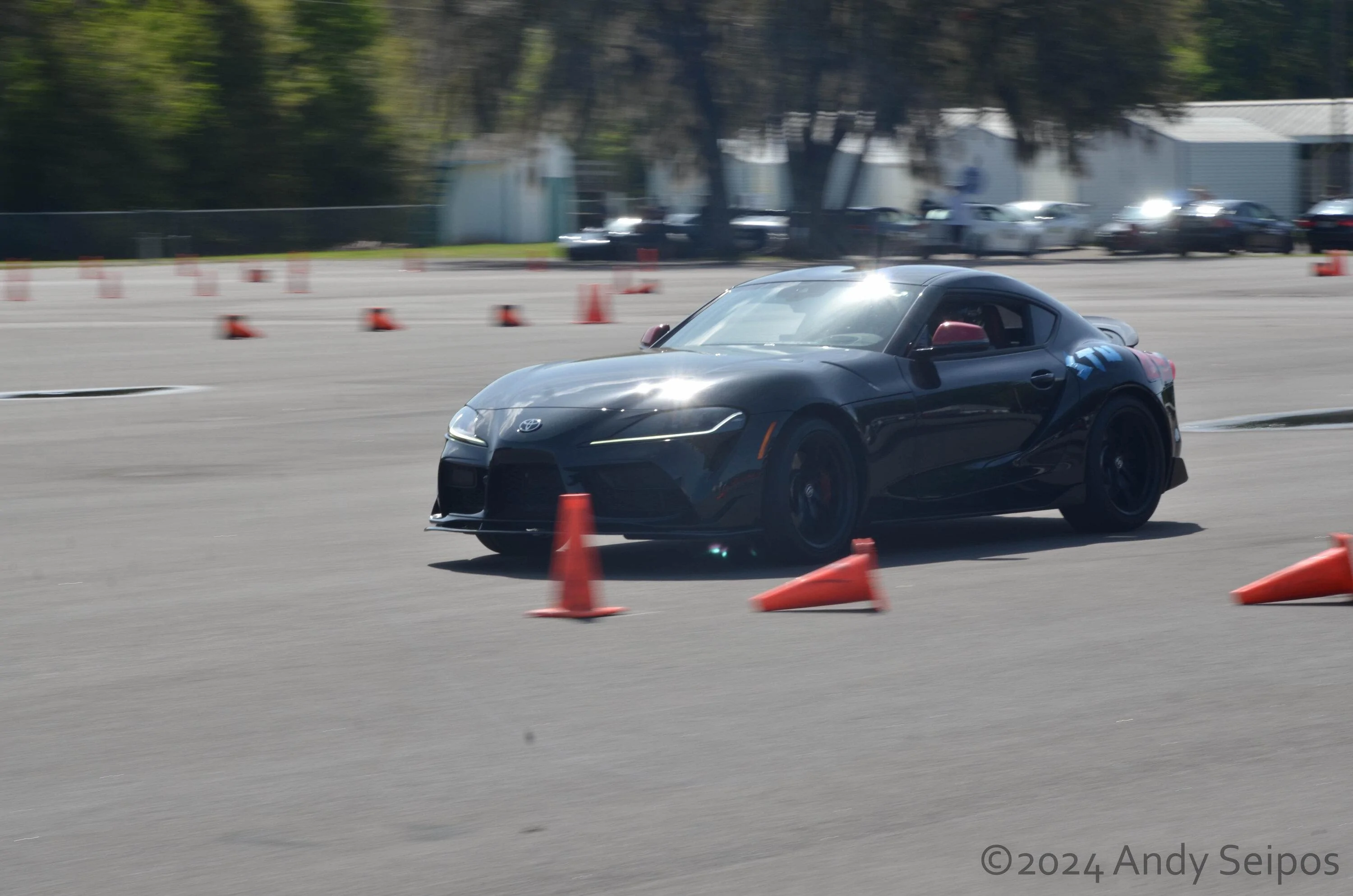 DSC_6594.webp