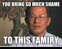 thumb_you-bring-so-muchshame-to-this-famiry-quick-meme-com-19465413.webp