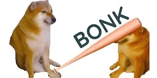 1714835931182-va.webp