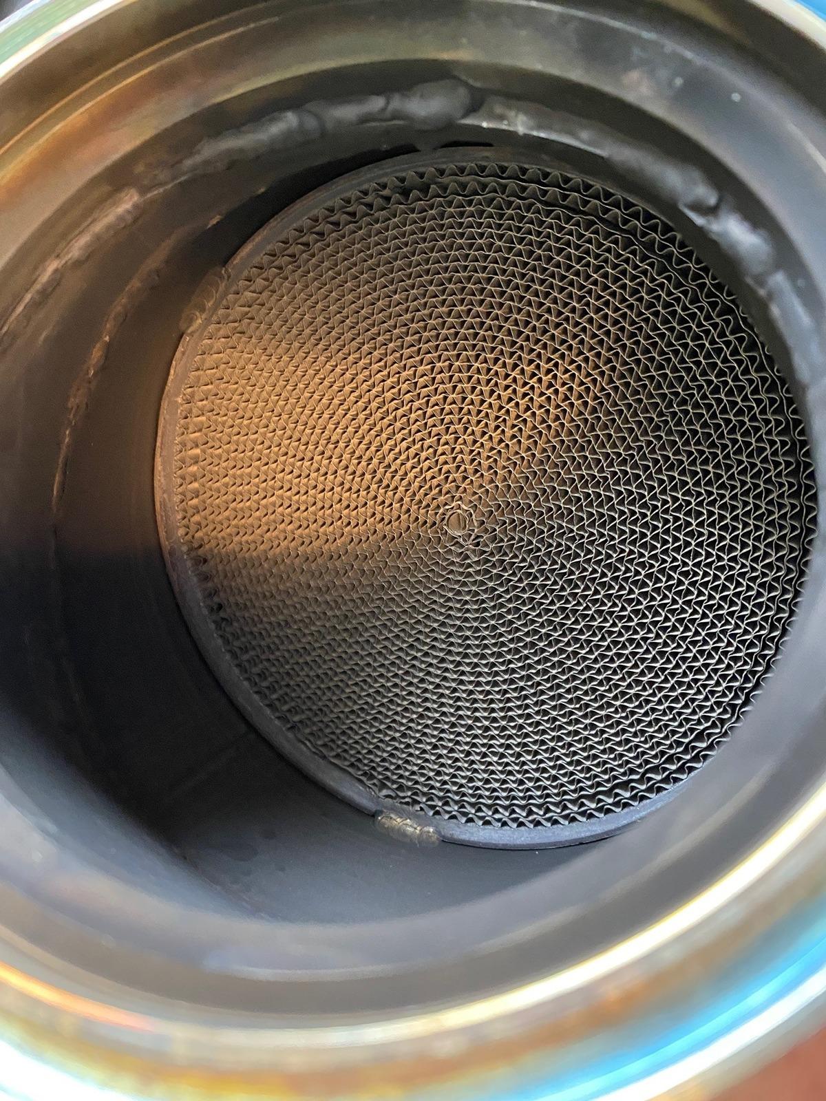 Cat inside.jpg