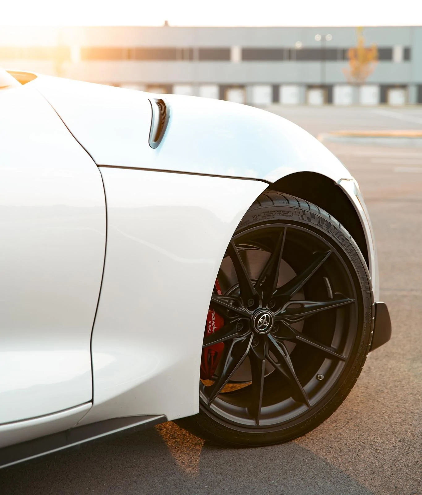 Supra-7.jpg