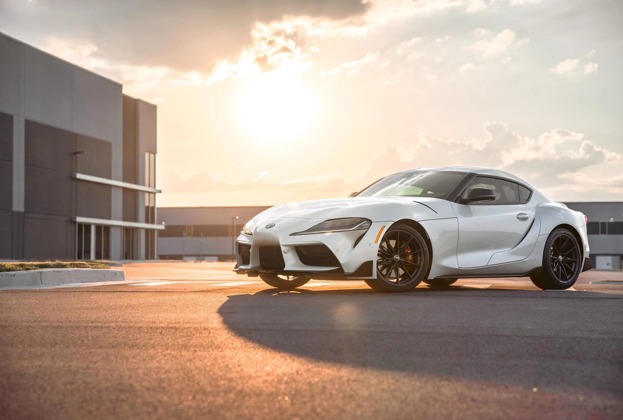 Supra-1.jpg