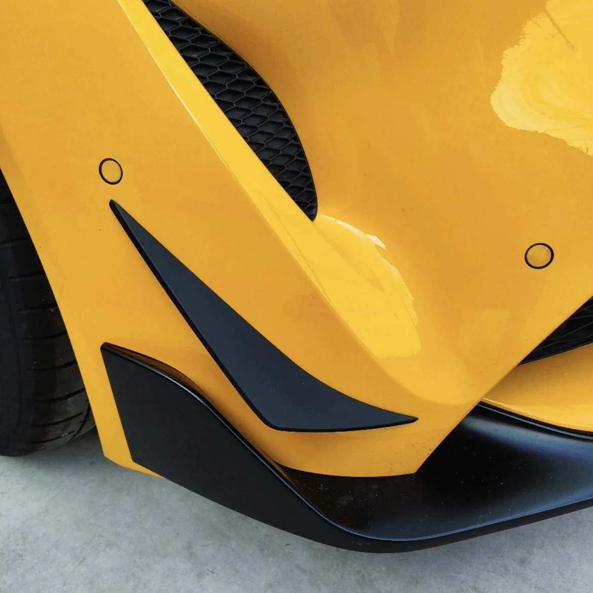 IMG_9426.webp