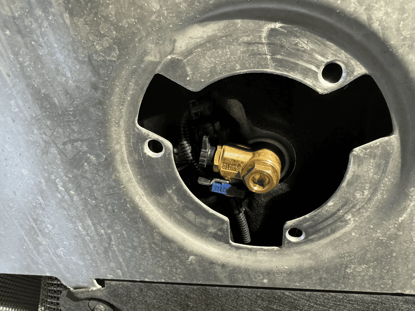 IMG_0555 (Large).png