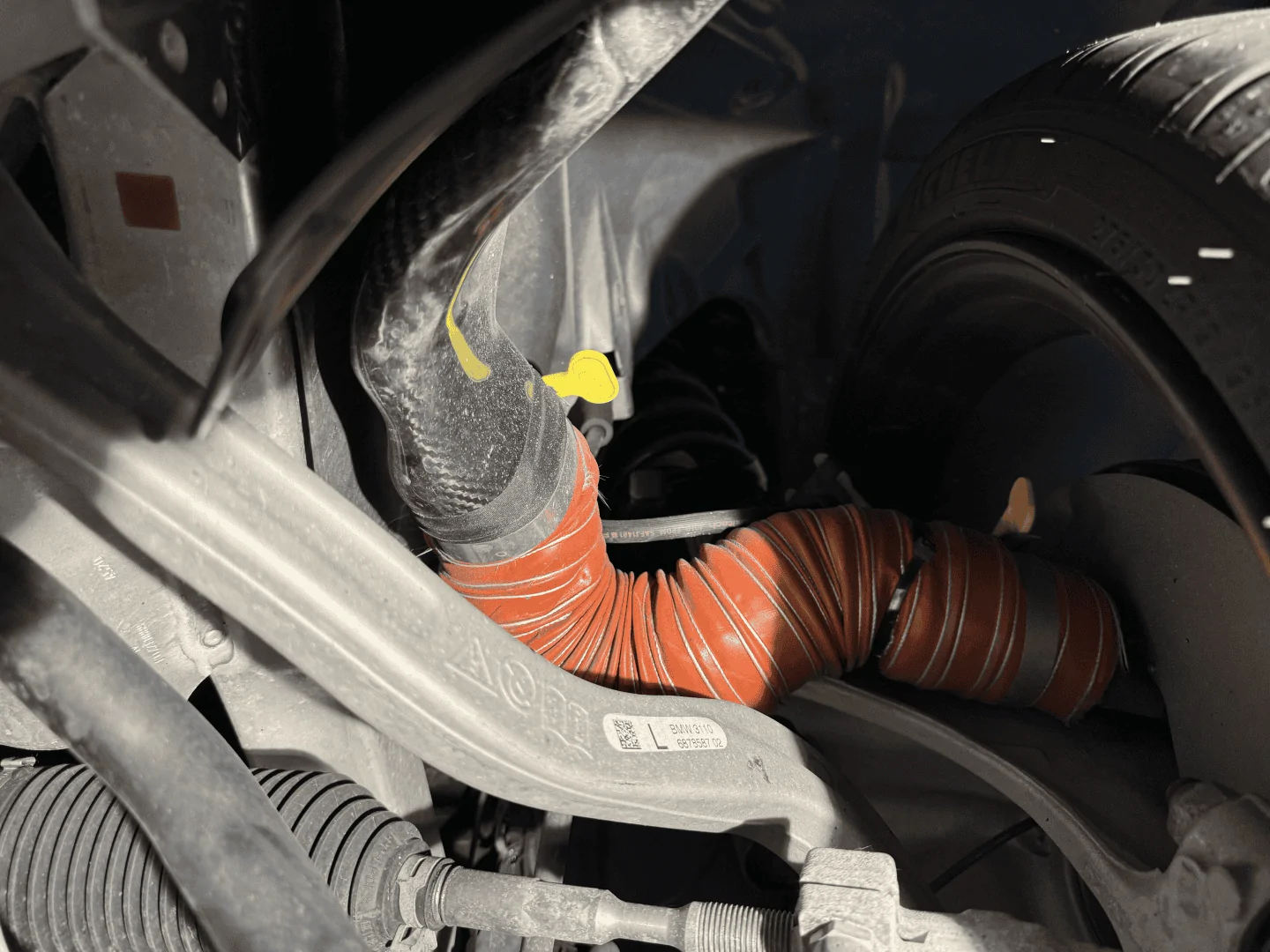 IMG_0560 (Large).png