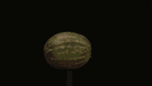 IMG_3871.gif