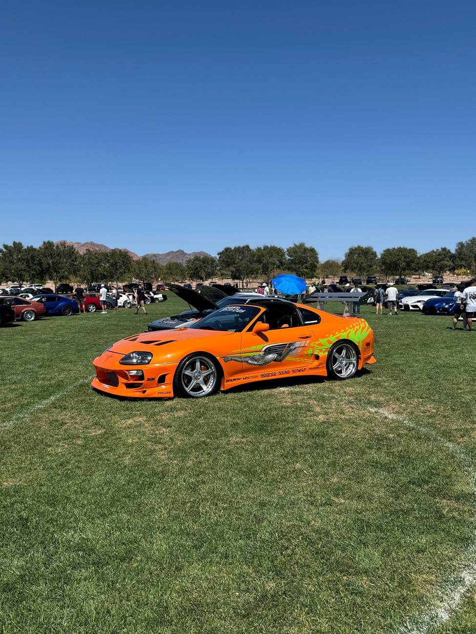 IMG_1377.jpeg