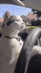 1000926371.gif
