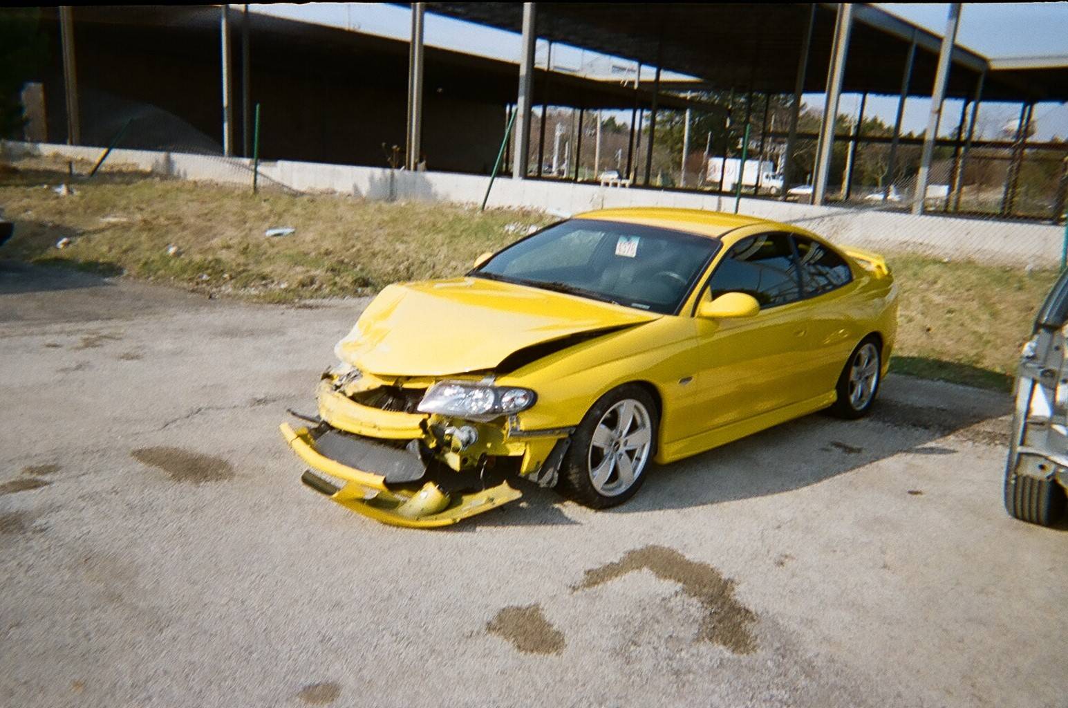12480006.jpg