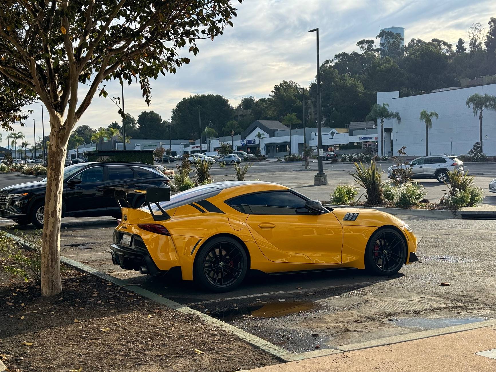 IMG_5377.jpeg