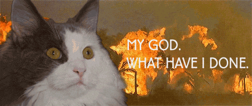 IMG_3801.gif