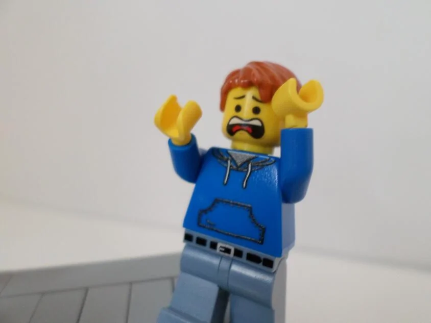 IMG_4321.webp