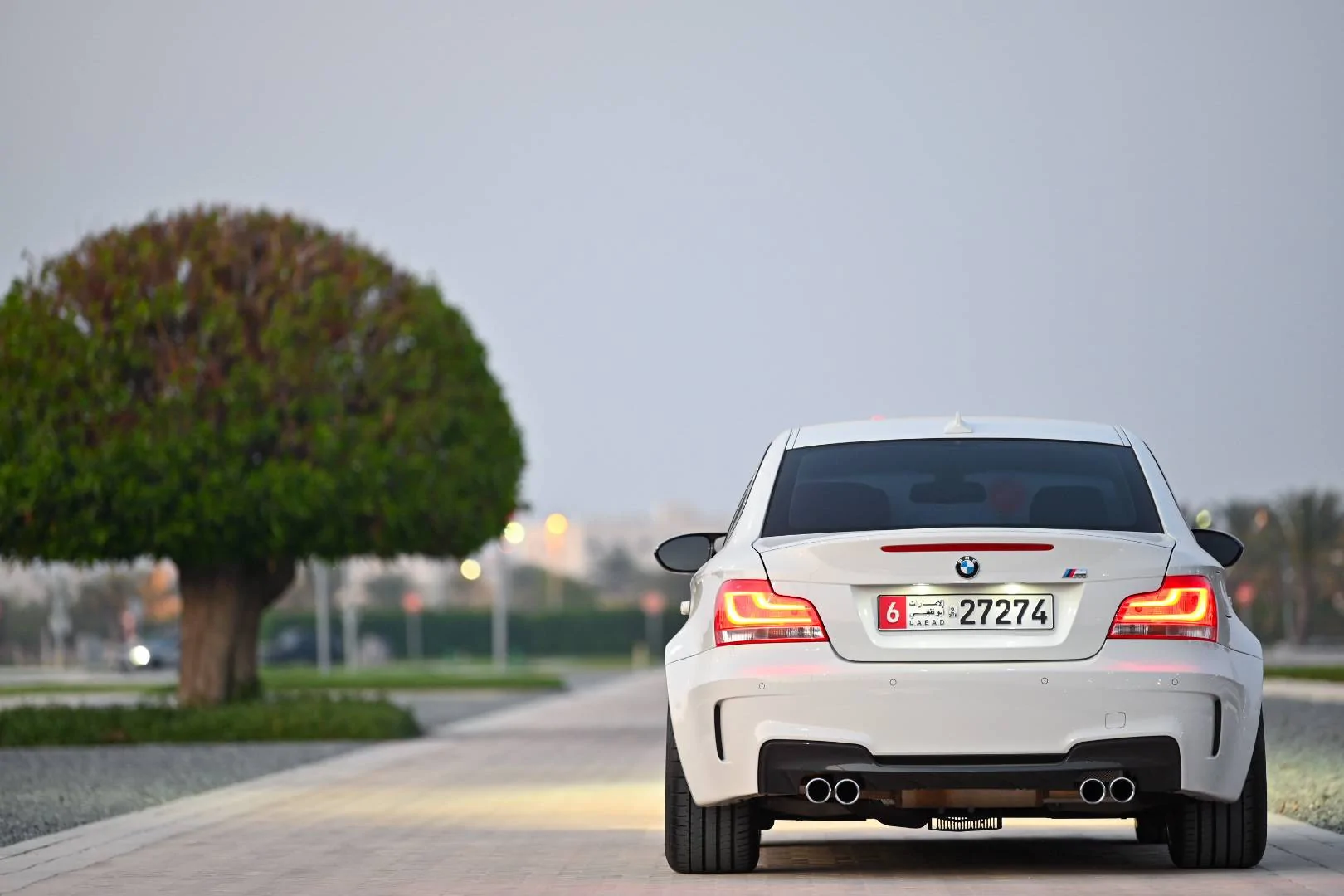 DSC_9316 (1).webp