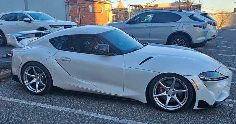 gvl supra.jpg