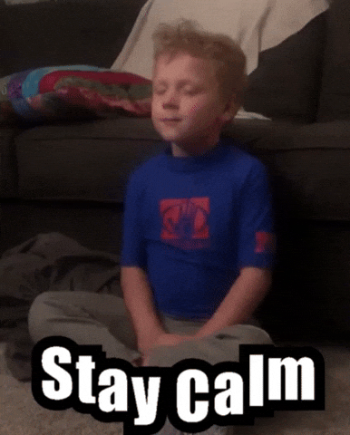 giphy (1).gif