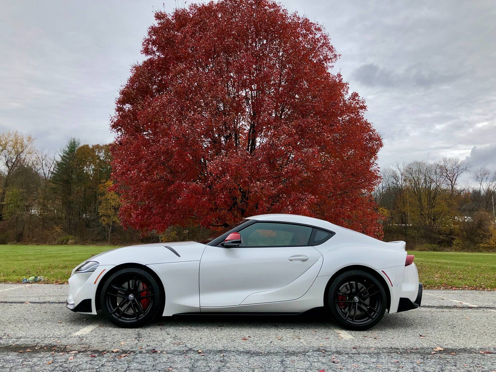 IMG_3928.jpeg