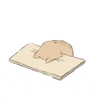 cat-head-bang-cat.gif