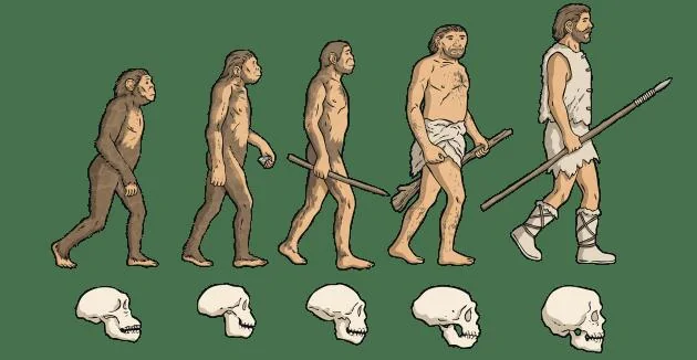 evolution-wiki_ver_1.webp