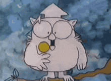 IMG_20250325_143606.gif