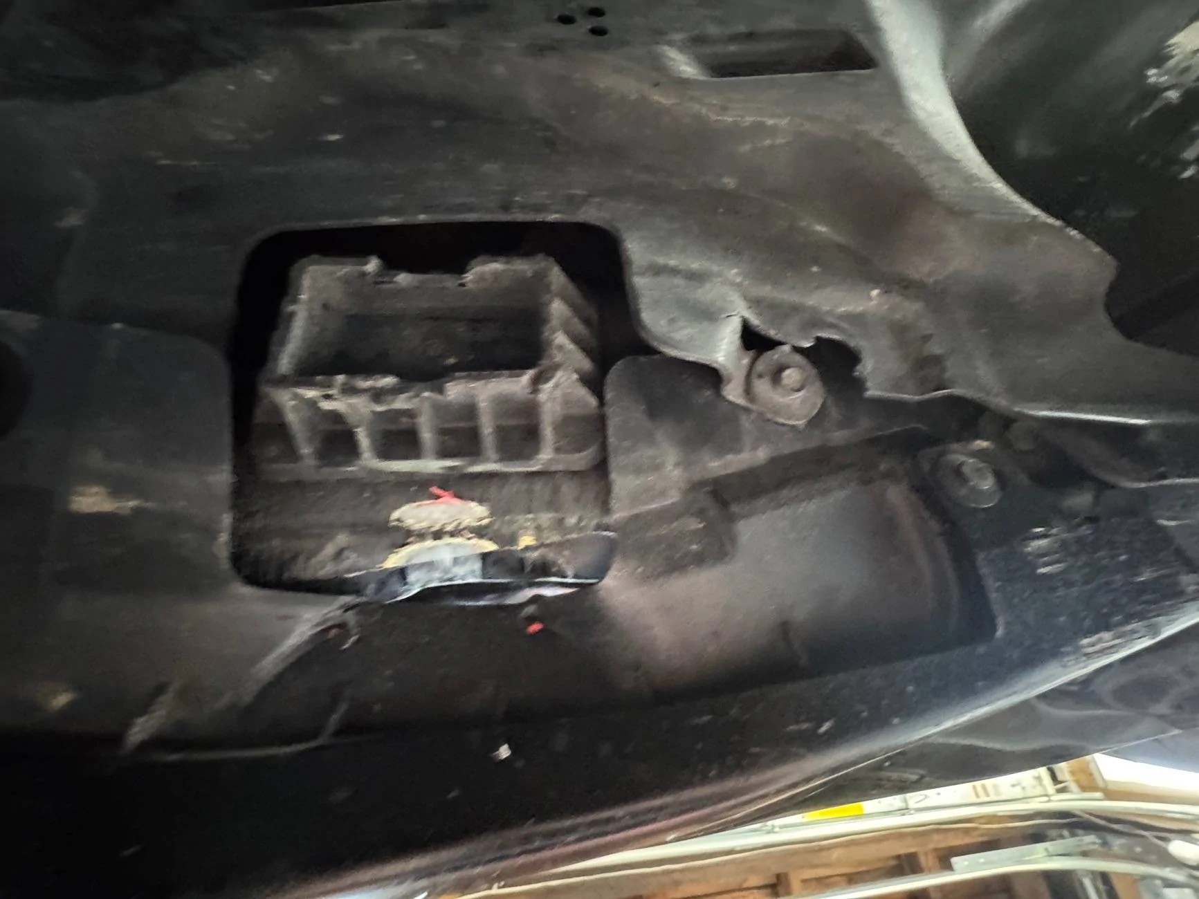 IMG_6045.webp