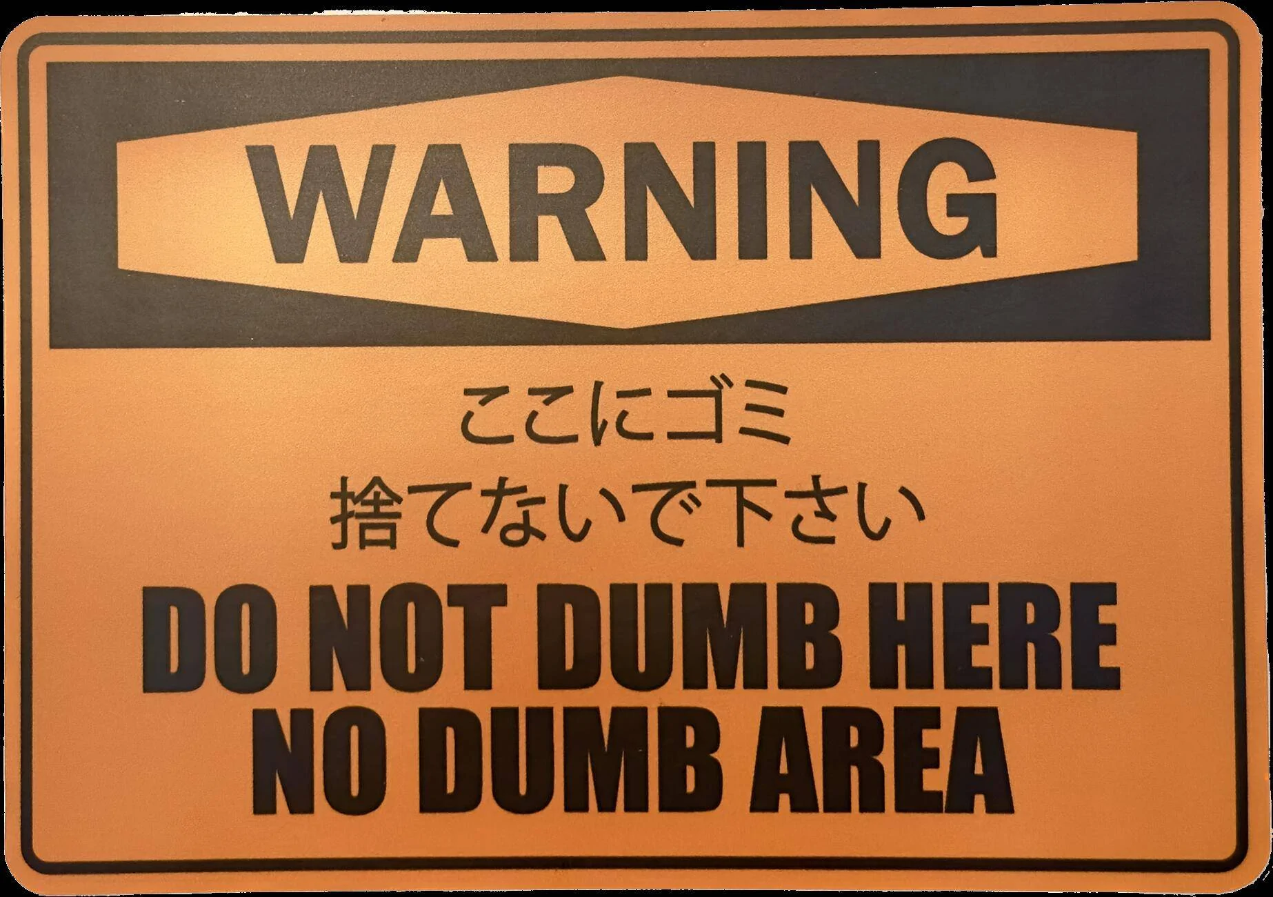 image_328a336d-99b9-4fc8-8458-54067eb831eb.webp