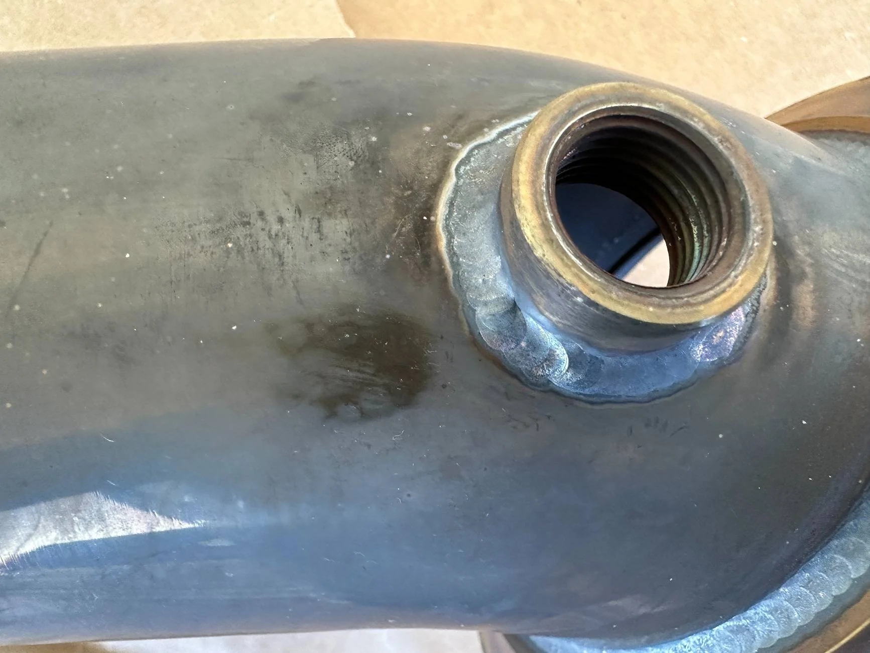 IMG_2847.webp